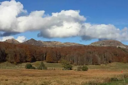 Magnifique Et Lumineux Appartement Au Coeur Du Sancy