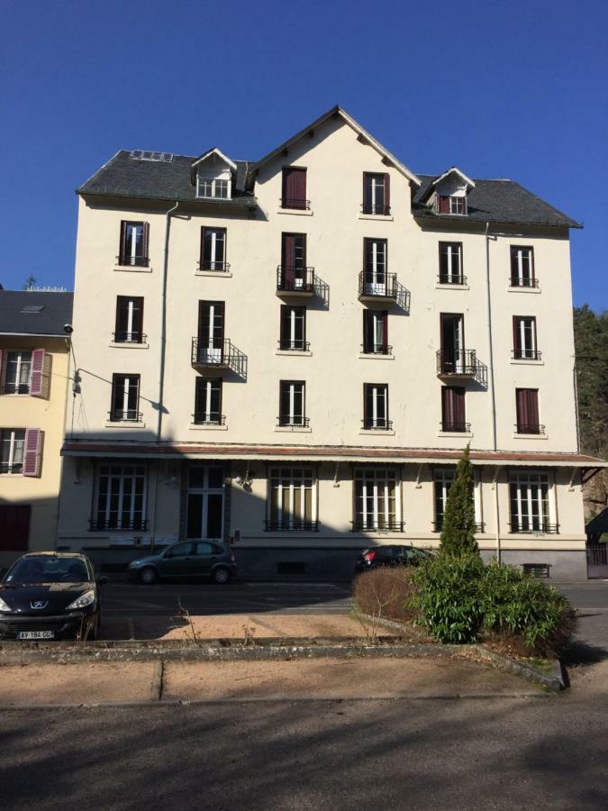 Apartment Magnifique Et Lumineux Au Coeur Du Sancy Saint-Nectaire